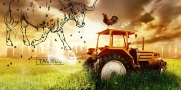 Если ваш Меркурий в Тельце