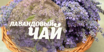 ЛАВАНДОВЫЙ ЧАЙ. Гармонизируем влияние Луны