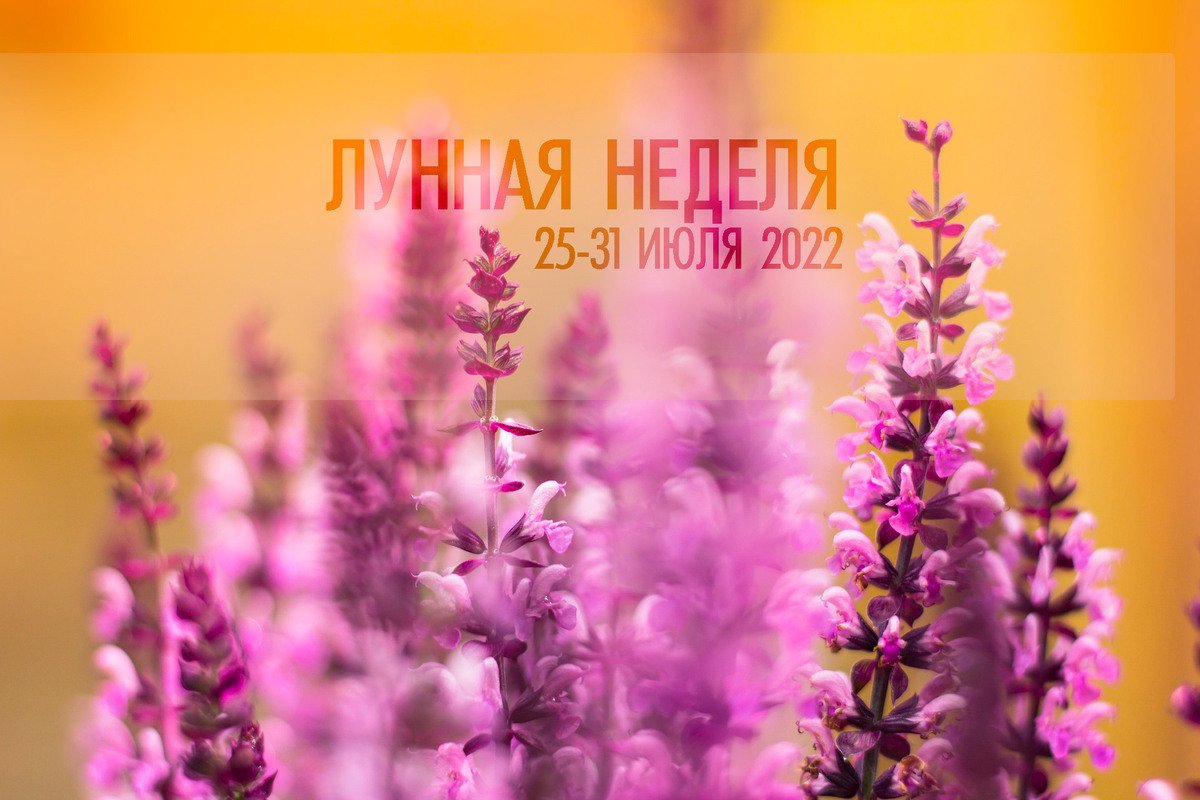 Астро-неделя 25-31 июля 2022. Луна в знаках зодиака