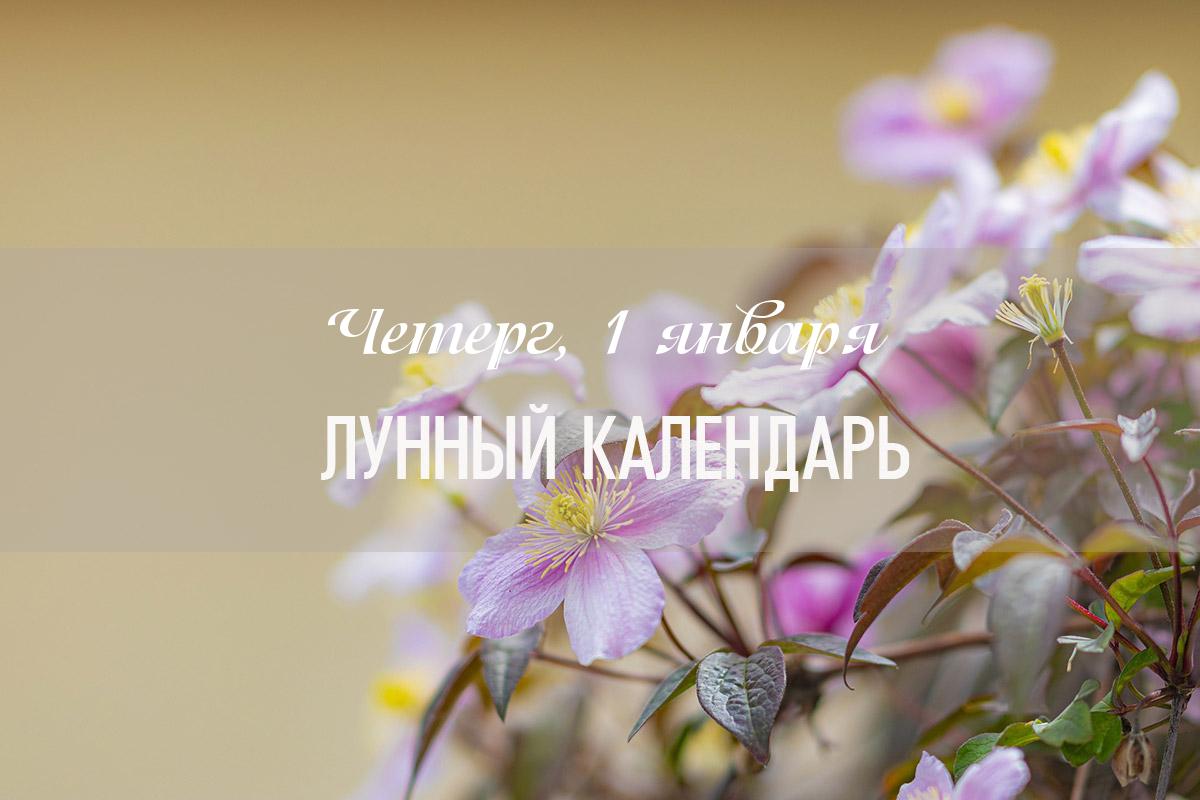 Влияние дня (общий показатель) – день смешанный по своему влиянию. До 14 часов можно заниматься решением важных дел. В первой половине дня лучше отдать предпочтение делам, требующим в решении мягкого дипломатичного подхода.