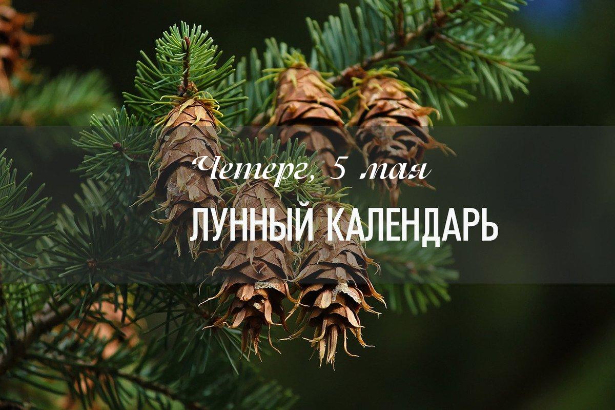 Влияние дня (общий показатель) – день смешанный по своему влиянию. Начинать новые проекты не рекомендуется. День рекомендуется провести активно. Это хорошее время для укрепления своей позиции. 