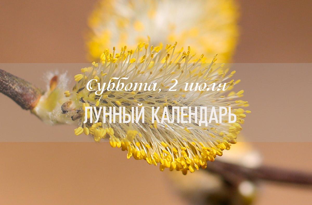 Характеристика дня – смешанный, первая половина дня (до 12:47) - влияние Луны более мягкое. Ближе к 13 часам начинается промежуток «Пустые руки» — это время, когда не рекомендуется начинать ничего нового, так как результат будет не тем, что ожидается. 