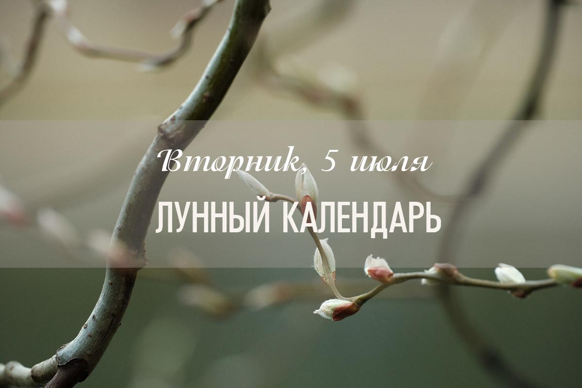 Характеристика дня – хороший день. Утро, до 8 часов, может быть довольно напряженным. Далее день становится более спокойным и плодотворным. 