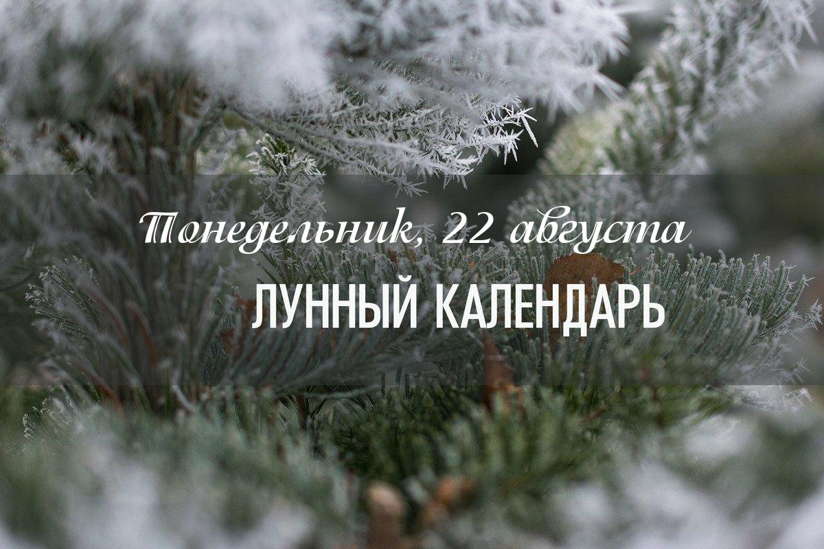 Характеристика дня – день смешанный по своему влиянию. Начинать новые проекты не рекомендуется. День рекомендуется провести активно. Это хорошее время для укрепления своей позиции. 