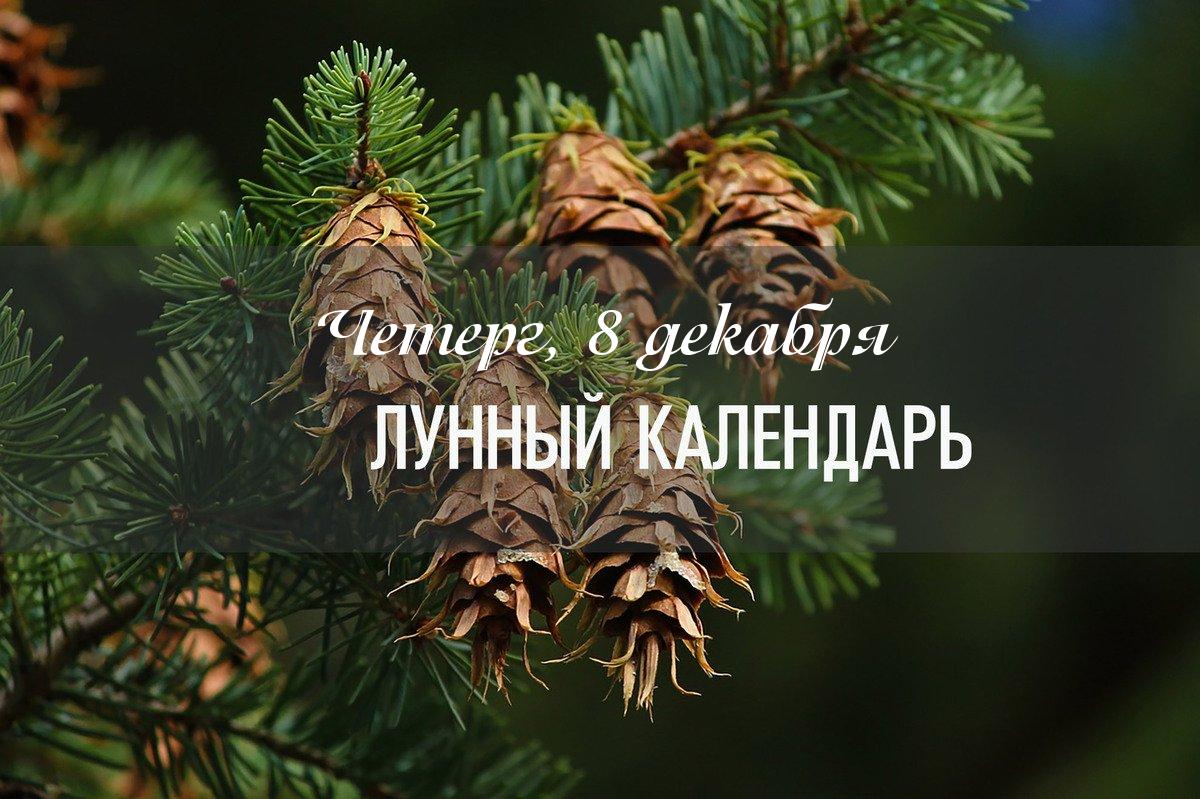 В период декабрьского полнолуния, Луна посетит созвездие Тельца, участок неба, где влияние этого светила проявляется с наибольшей силой и оказывает на наше мироощущение благоприятное и расслабляющее воздействие.