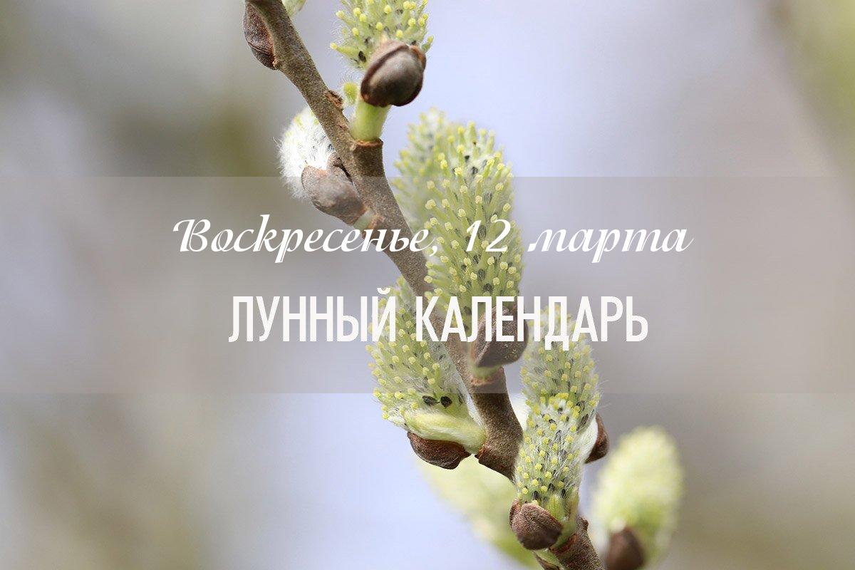 Влияние дня (общий показатель) – хороший день. Это воскресенье рекомендуется посвятить обычным рутинным делам. Чем-то важным заниматься не рекомендуется.