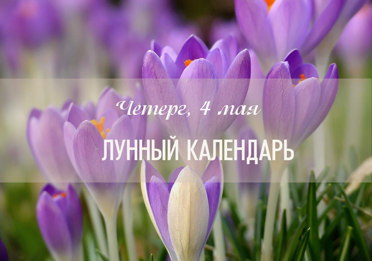Влияние дня (общий показатель) – неблагоприятный день для новых начинаний и важных дел. Лучше сконцентрировать внимание на рутинных делах, не стоит планировать какие-то важные мероприятия.