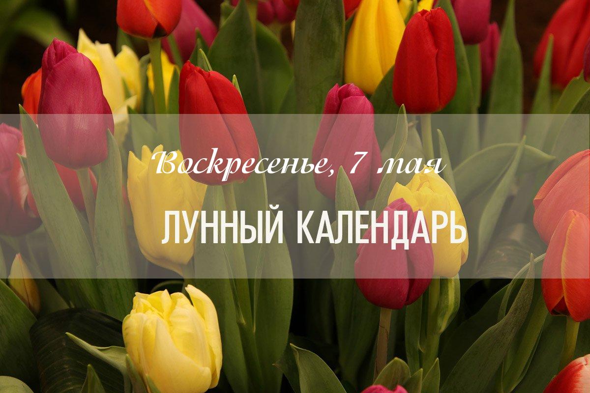 Влияние дня (общий показатель) – смешанный день. В эмоциональном плане первая половина дня спокойная и мирная. Ближе к вечеру ситуация меняется. Вечер лучше провести активно. Вечером старайтесь держать эмоции под контролем.