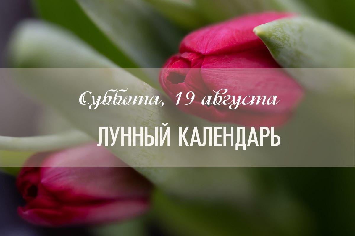  И вновь неблагоприятный день, не стоит в этот день начинать новые дела, начинать поездку или посещать парикмахерскую. Нужно постараться меньше критиковать, больше говорить о  положительном. Для гармонизации эмоций используйте эфирное масло лаванды и мелиссы. После 19:49 день хорошо подходит для генеральной уборки. 