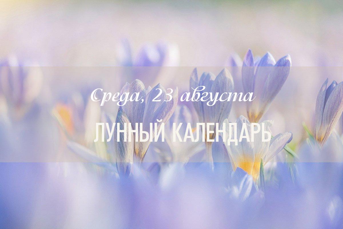 День имеет смешанный характер. Можно заниматься рутинными делами, но не следует начинать новые важные дела.  Обратите внимание, 23 августа: Меркурий начинает свой ретроградный цикл, поэтому не рекомендуется покупать: бытовую технику, любую электронику, билеты.