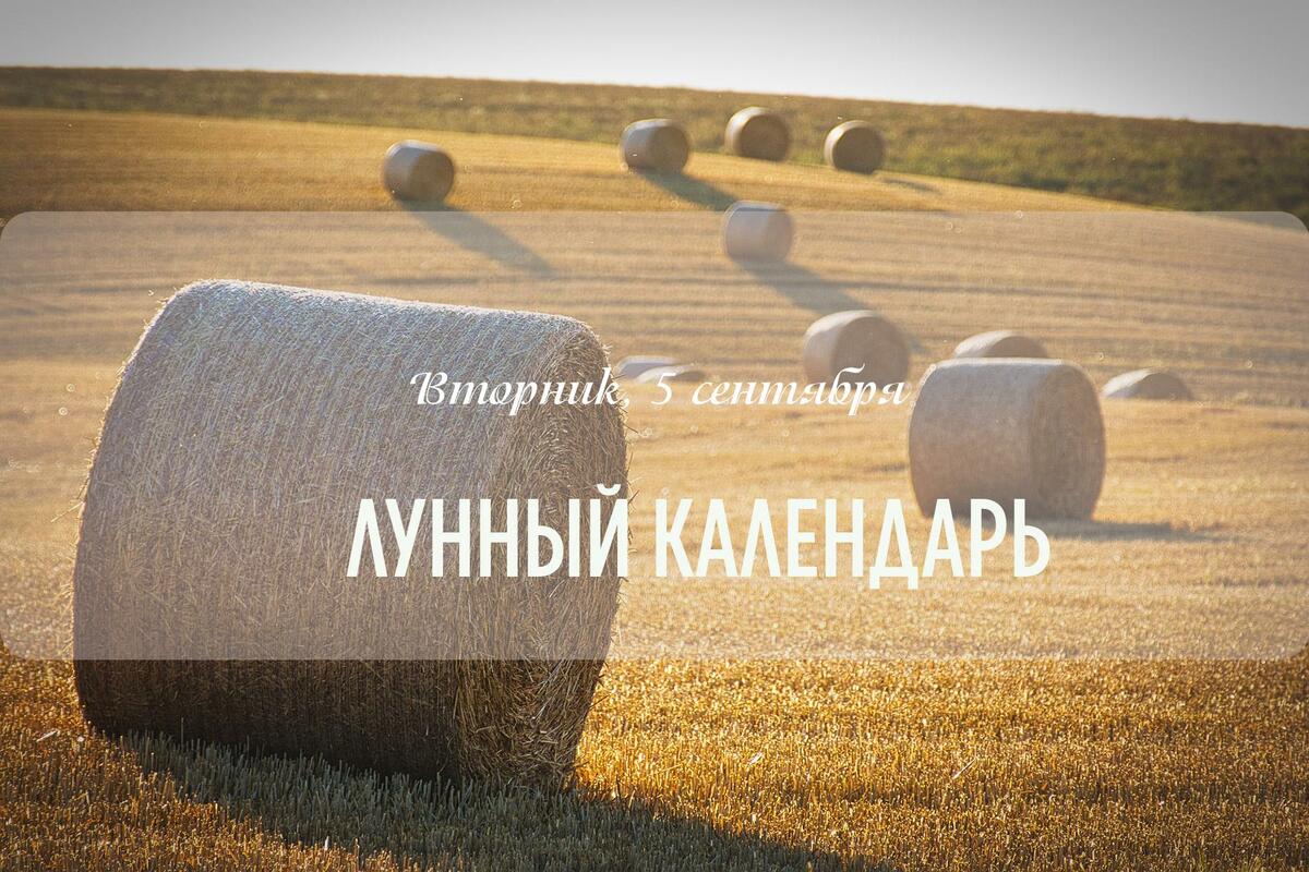 Смешанный день,  стоит отдать предпочтение рутинным делам. Не стоит начинать новые проекты.  Это хороший день для донесения своей позиции, разъяснения ситуации. День подходит для внесения изменений в существующие проекты. 