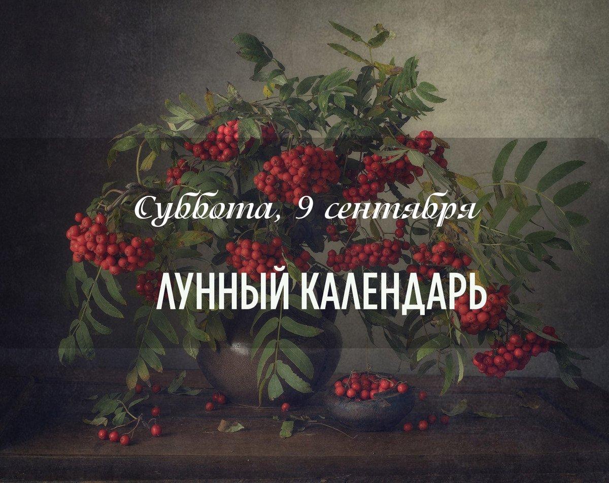 День смешанный, больше хороший, особенно после 11:56.  Если вы хотели начать все сначала, то сейчас самое время. Новые дела в этот день начинать не рекомендуется.