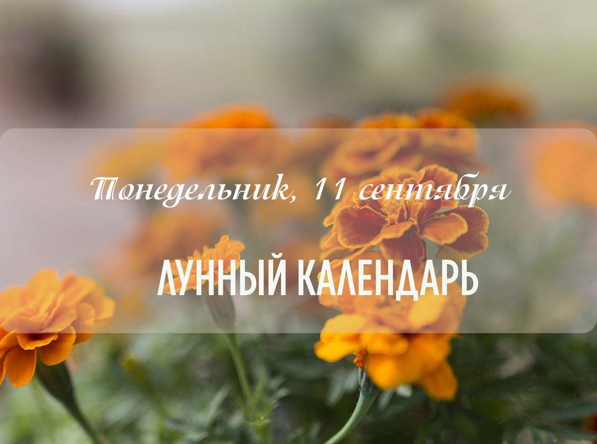 День смешанный день до 17:30 благоприятный, можно заниматься важными делами в спокойном режиме. Далее влияние меняется. Может ощущаться напряжение, могут иметь место приступы раздражения. Вечер рекомендуется провести активно, посвятив его какой-то полезной деятельности.