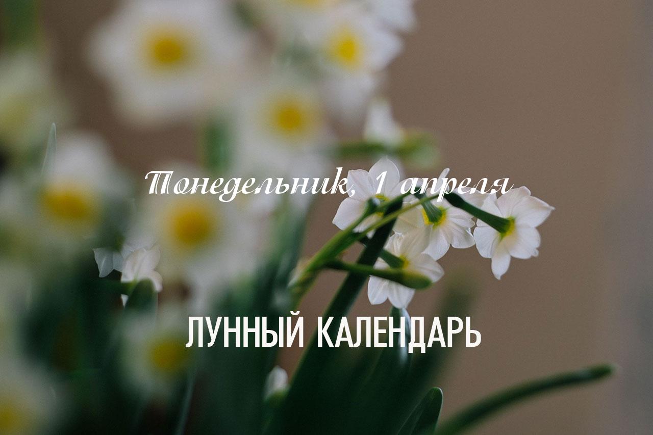 Общая характеристика дня: день смешанный. Можно заниматься рутинными делами. Обратите внимание, после 18:40 наступает титхи «Шунья» - пустой день. В этот промежуток не стоит заниматься важными делами, начинать что-то новое. День хорошо подходит для исследовательской деятельности.