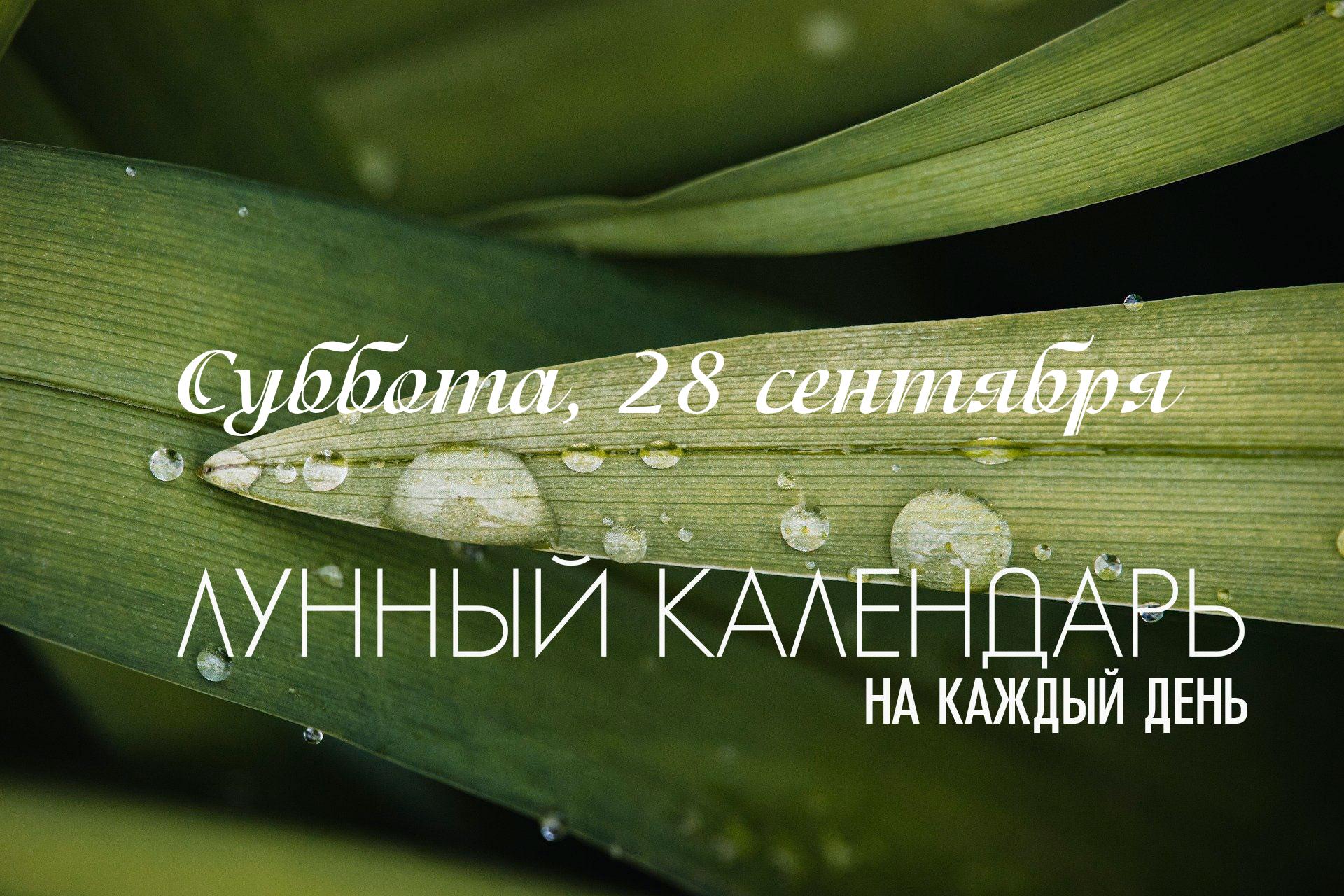Смешанный день, который лучше посвятить активным действиям. Новые проекты начинать не рекомендуется. Также в этот день стоит воздержаться от стрижки. Сегодня активная накшатра “Ашлеша”. Ее сила заключается в устранении препятствий, и можно что-то для этого делать. Главное — не забывать выражать благодарность тем, кто вам помогает.