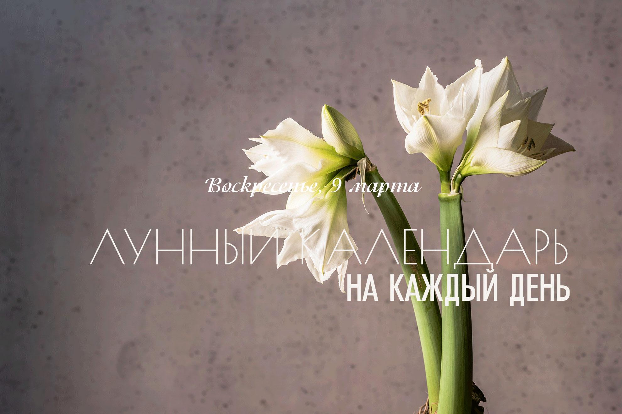 Благоприятный день до 17:11. Можно заниматься важными делами. Можно начинать проекты, рассчитанные на быстрое получение результат, недолговечные. Сегодня активна накшатры «Пунарвасу». Эта накшатра благоприятствует улучшению отношений, восстановлению утраченных связей и возобновлению прерванных контактов.