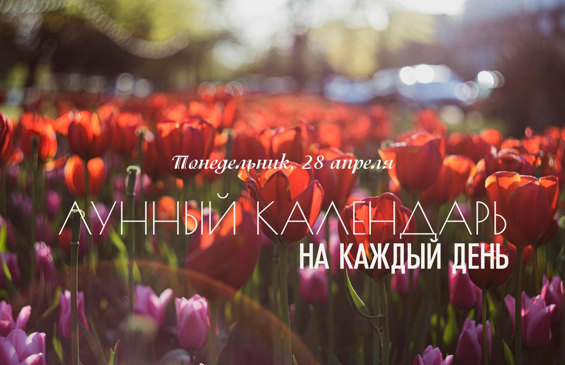 Смешанный день. Большую часть дня активна накшатра “Бхарани”, которая обладает очищающей мощью и часто приносит в нашу жизнь моменты, связанные с кармическим очищением. Эта накшатра отмечает завершение одного этапа и начало следующего. Если у вас есть задачи, которые вы желаете завершить - период влияния “Бхарани” идеально подходит для этого. Она способствует окончанию, освобождению и завершению. После чего вы можете свободно двигаться вперёд. Во время активности “Бхарани” желания могут усиливаться. Для новых начинаний эта накшатра не подходит.