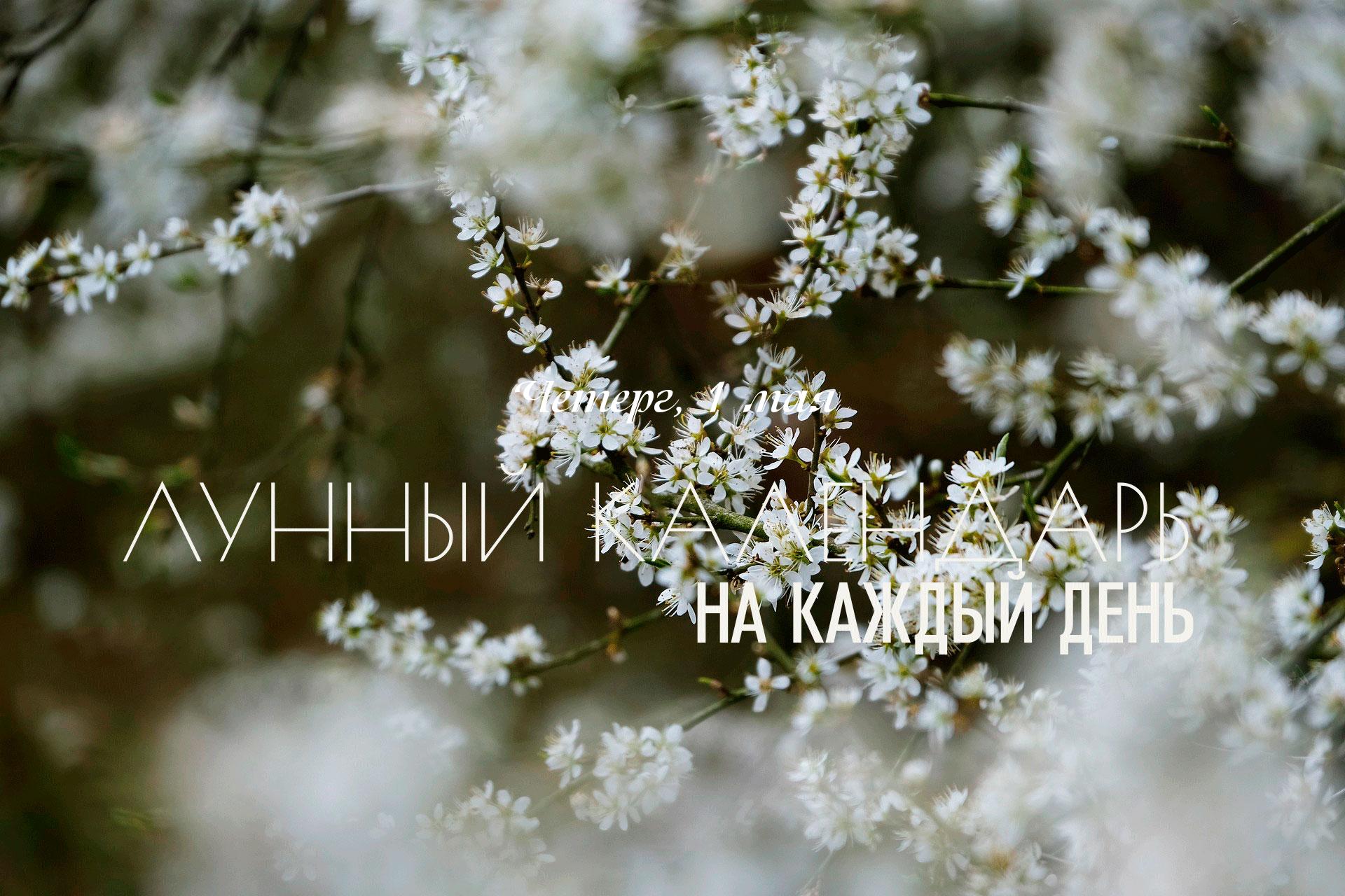 День смешанный. Благоприятный промежуток с 08:54 до 11:50 (время московское). Утро подходит для спокойной деятельности. С 11:50 активна накшатра «Ардра», накшатра преобразования. Может наблюдаться усиление эмоций, включая гнев, страсть и глубокое осмысление. Это также период для разрушения старого, что может привести к переменам и обновлению в жизни. Важно сохранять баланс и осознанность, чтобы использовать эту мощную энергию в положительном ключе.
