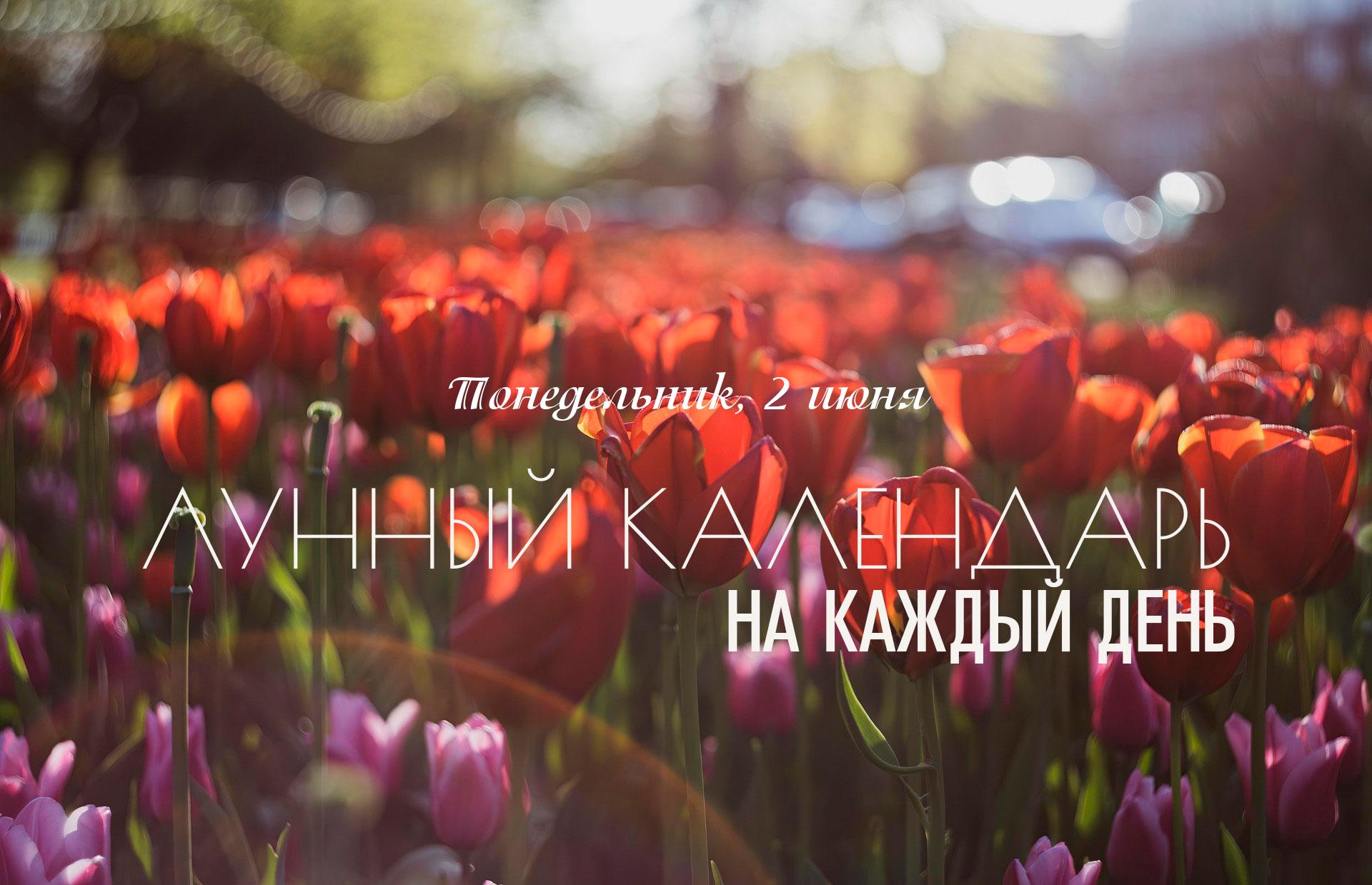 День контрастный. Раннее утро (до 05:48) неблагоприятно из-за йоги Вьягхата. Затем день (с 05:48 до 18:05) становится значительно лучше благодаря йоге Харшана и благоприятным каранам. Однако вечер (с 18:05) становится очень неблагоприятным из-за начала караны Вишти. Поэтому важными делами лучше заниматься в первой половине дня. Не рекомендуются новые начинания, зачатие, покупки и стрижка. Для гармонизации эмоционального состояния, используйте эфирные масла лаванды и вербены. Сегодня активна накшатра «Магха». «Магха» способствует глубокому осознанию своих корней и связи с предками, что может дать ощущение внутренней силы и уверенности.