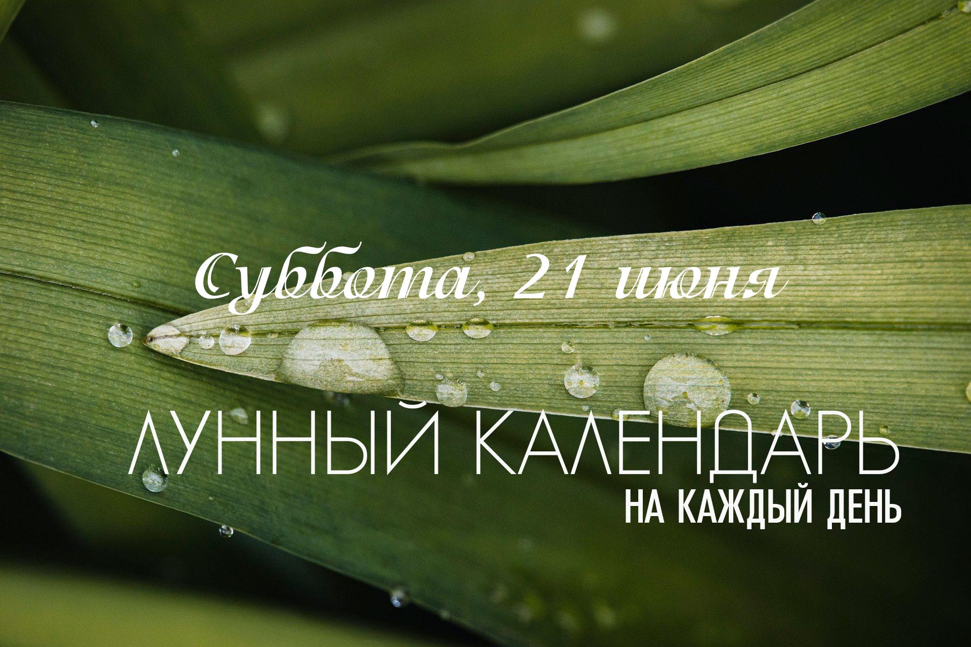 Этот день, несет в себе смешанные энергии, но с явным акцентом на духовную работу. Раннее утро (до 04:49) остается сложным из-за "Вишти" караны. Вечером, с 17:57, начинается благоприятная "Сукарма" йога, улучшая общую атмосферу, однако в это же время вступает в силу интенсивная накшатра "Бхарани". Суббота и Луна в Овне призывают направить активность во внутреннюю работу и дисциплинированные духовные практики.
