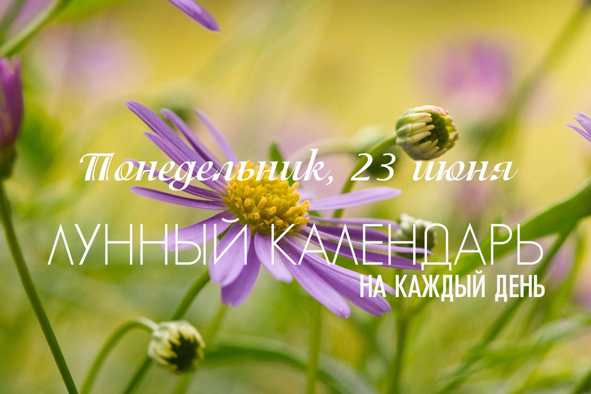 Этот понедельник, 23 июня, предлагает разнообразные энергии. Утро (до 10:45) благоприятно. Луна в Тельце (знаке своей экзальтации) весь день придает стабильности и чувственности. С 10:45 до 12:45 действует начальная, сложная фаза "Шула" йоги, требующая осторожности. Однако после 12:45 негативное влияние "Шула" йоги нейтрализуется, что открывает значительно более благоприятный период, особенно с началом очень позитивной накшатры "Рохини". Этот дневной отрезок (с 12:47 до 19:40) становится наиболее продуктивным для многих дел. Вечер, к сожалению, вновь осложняется началом "Вишти" караны (с 19:40) и "Чатурдаши" титхи (с 20:07), делая его неблагоприятным для большинства начинаний.