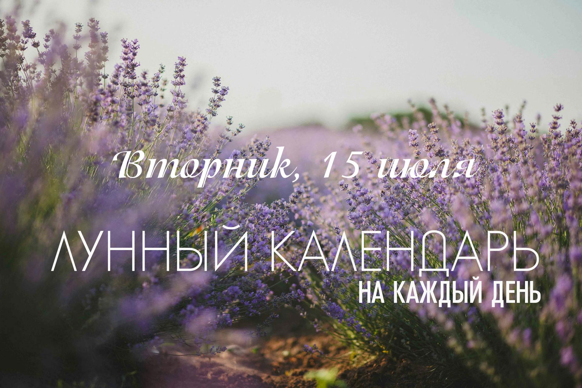 День неблагоприятный. Сегодняшний день несет в себе очень противоречивые энергии. С одной стороны, благоприятные титхи и йоги создают прекрасный фон для созидания. С другой — день недели (вторник) и природа накшатры вносят элемент резкости и напряжения. Это время лучше всего подходит для индивидуальной, сфокусированной работы, духовных практик или дел, требующих смелости, но не для гармоничного сотрудничества. Большую часть дня активна накшатра "Пурва-Бхадра". Ее энергия связана с очищением, покаянием, глубокой трансформацией и подготовкой к переменам. Она не подходит для мягких и гармоничных дел.