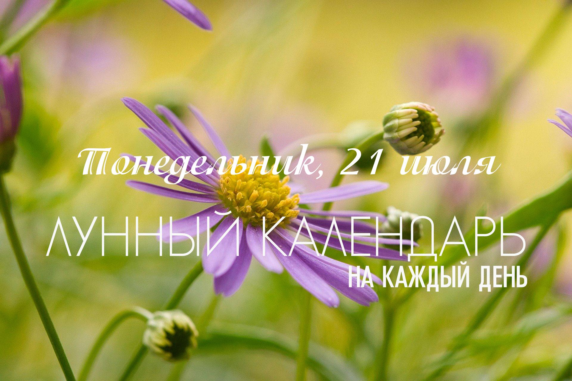 В понедельник, 21 июля 2025 года, с начала суток до 07:10 утра 🔥"Дагда Титхи"🔥, что является фактором, который рекомендует исключить любые новые начинания. Далее атмосфера дня очень спокойная, созидательная и гармоничная. Под влиянием накшатры "Рохини", а затем "Мригаширша", пробуждается желание творить, наслаждаться красотой, заботиться о близких и начинать дела, которые должны расти и приносить прекрасные плоды. Это один из самых благоприятных дней месяца для большинства созидательных дел.