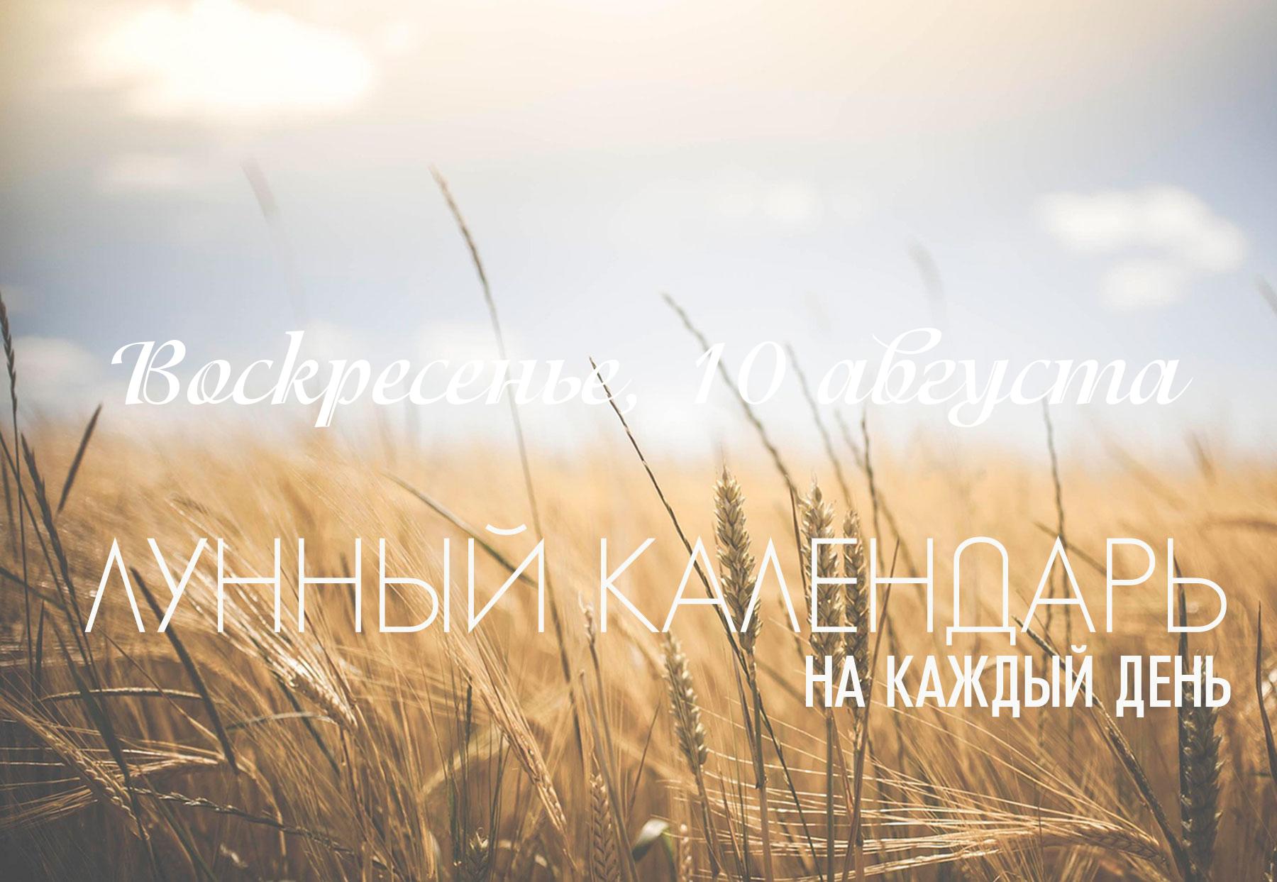 Сегодняшний день, является хорошим для многих дел, благоприятный промежуток длиться до 21:31.  Первая половина дня находится под влиянием подвижной накшатры «Дхаништха». Эта часть дня подходит для социальной активности и дел приносящих быстрый результат, не стоит заниматься чем-то основательным. Вторая половина, с началом активности накшатры «Шатабхиша», больше подходит для исследовательской и целительской деятельности. Вечером, после 21:31, атмосфера резко меняется на неблагоприятную.