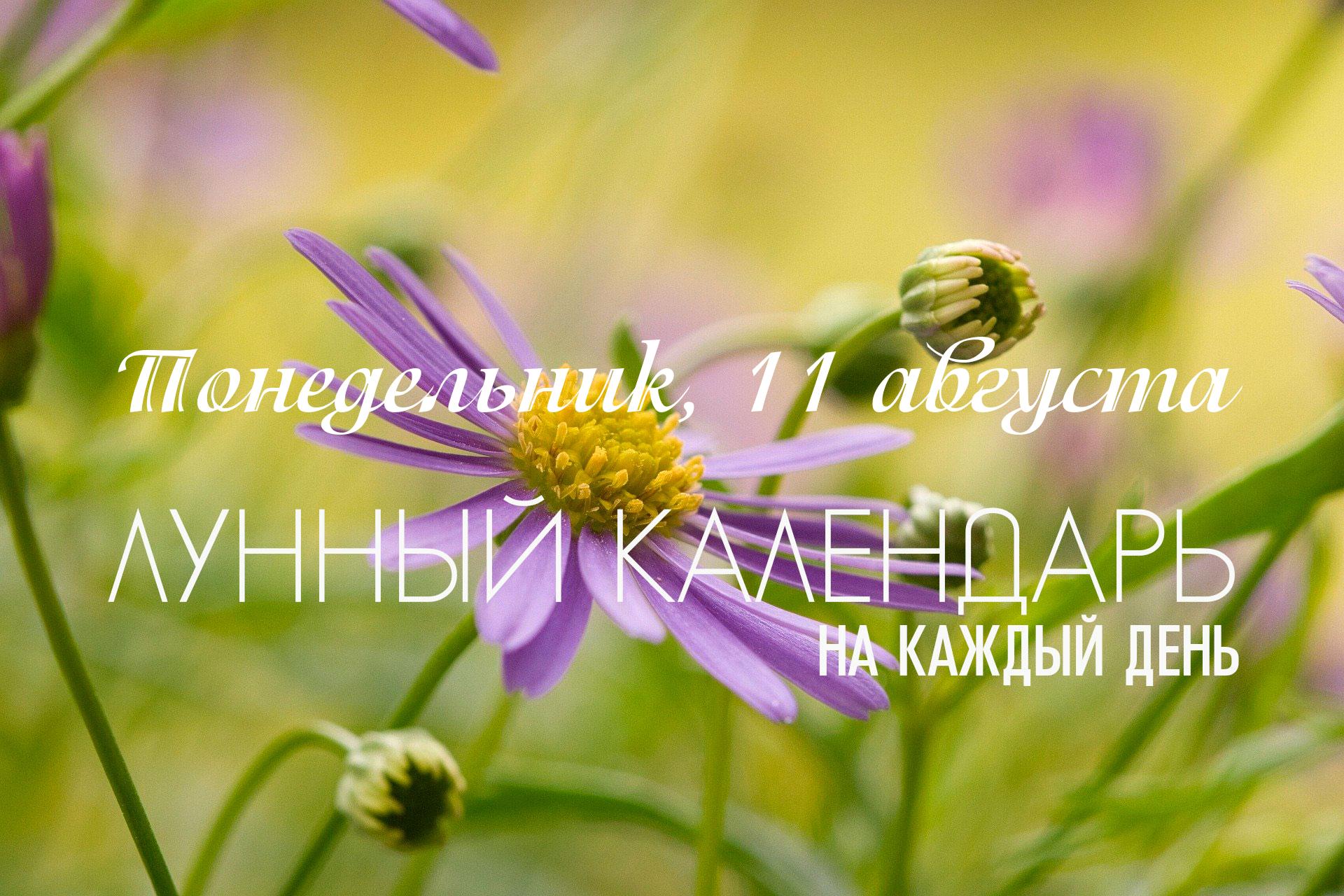 Сегодняшний день в целом не подходит для большинства созидательных начинаний из-за нескольких сильных ограничивающих факторов. День четко разделен на три части: смешанное и нестабильное утро, напряженный и требующий осторожности день, и неблагоприятный для любых важных дел вечер. Период с 08:04 до 10:30 является хорошим, но только для очень конкретного, ограниченного круга дел, связанных с уединенной, исследовательской и целительской деятельностью. После 10:30 оказывает огненная и аскетичная накшатра «Пурва-Бхадрапада», энергия которой хороша для завершения дел или решительных действий, но не для созидания. Обратите внимание, с 20:00 активна карана⚡ «Вишти», поэтому в это время лучше воздержаться от любых начинаний и посвятить его отдыху.