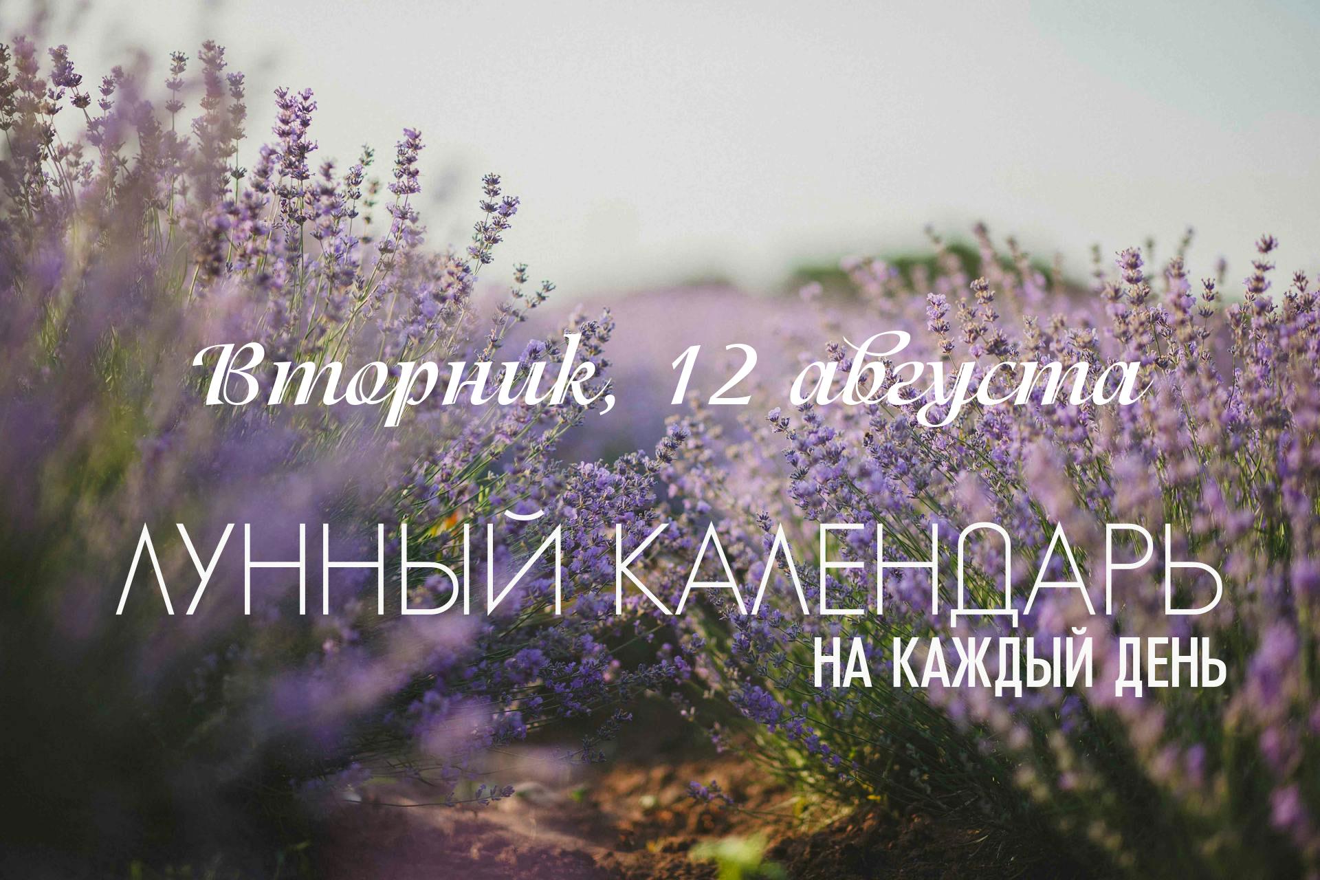 Сегодняшний день является неблагоприятным для большинства новых созидательных дел. Основная причина — влияние титхи "Пустые руки" что делает день «пустым» для начинаний, рассчитанных на рост и процветание. Утро до 09:22 проходит под влиянием резкой и огненной накшатры «Пурва-Бхадрапада», что еще больше усиливает напряженный фон. После 09:22 атмосфера смягчается с переходом Луны в умиротворяющую накшатру «Уттара-Бхадрапада», однако общее ограничение для новых начинаний сохраняется. Обратите внимание, раннее утро до 06:11 находится под влиянием караны «Вишти», что делает этот промежуток абсолютно непригодным для любых важных действий. День подходит для генеральной уборки.