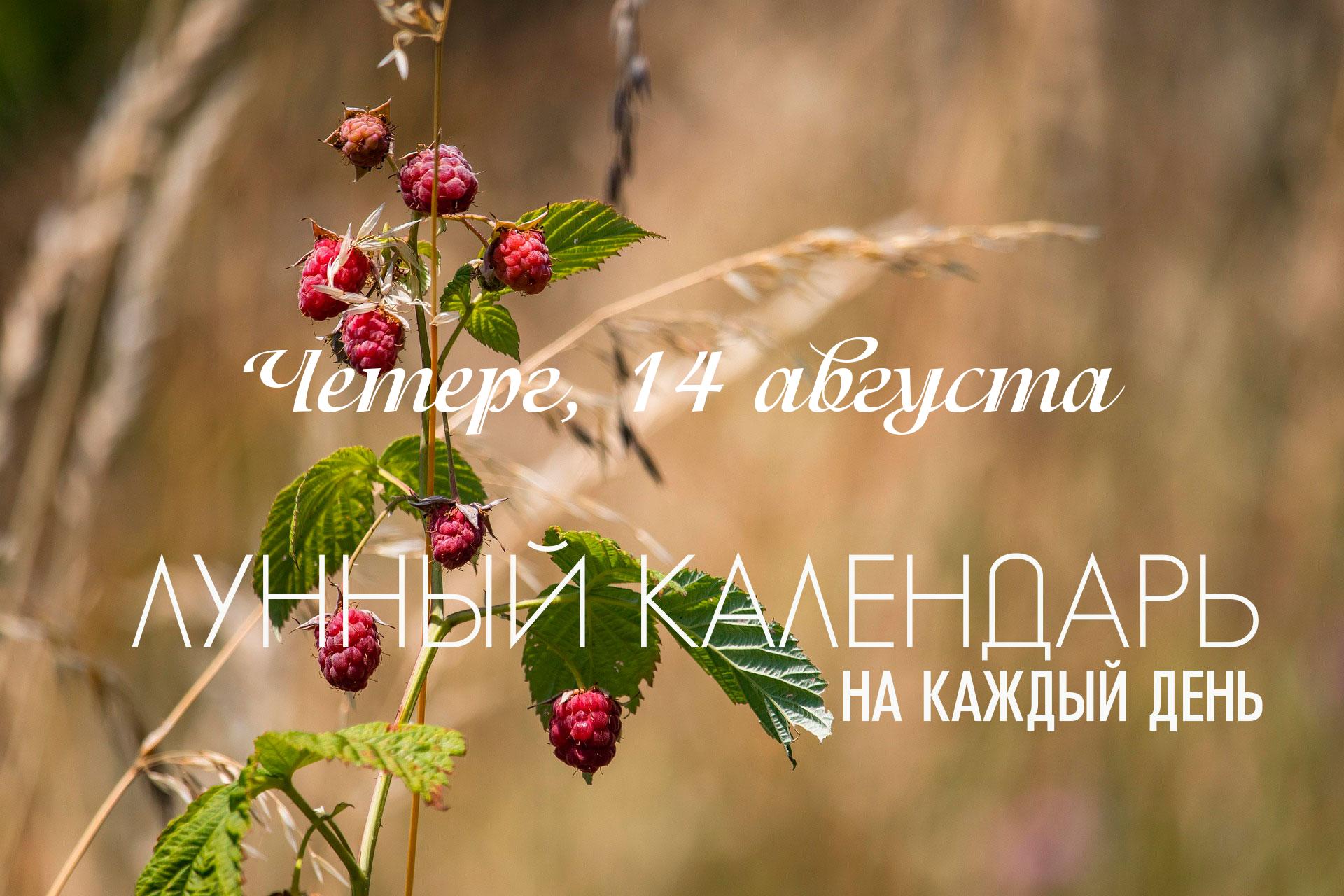Сегодняшний день является неподходящим для созидательных начинаний. Практически все сутки находятся под влиянием как минимум одного негативного фактора. Утро отмечено переходом Луны через точку «Ганданта», что создает сильную нестабильность. Большая часть дня, с 01:54 до 23:38, поражена «Дагда Йогой», которая «сжигает» плоды любых начинаний. Энергию быстрой и активной накшатры «Ашвини» в таких условиях лучше всего направить на быстрые, рутинные задачи, но не на запуск чего-то важного.