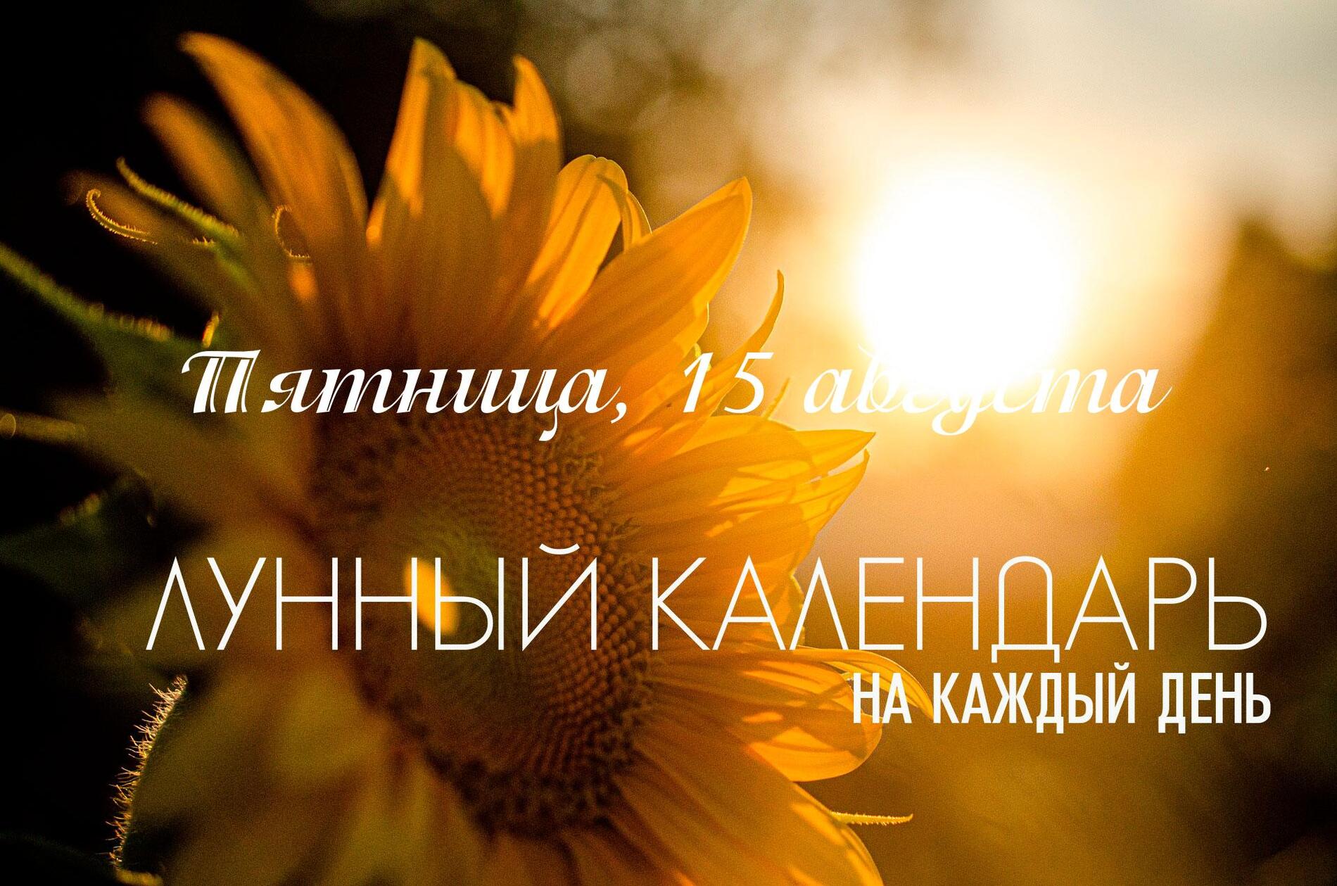 Сегодняшний день имеет смешанную природу. День подходит для завершения старых дел, очистительных практик и решительных действий, не рассчитанных на долгосрочный рост. Основное влияние оказывает суровая накшатра «Бхарани», энергия которой направлена на трансформацию и избавление от ненужного, а не на созидание.