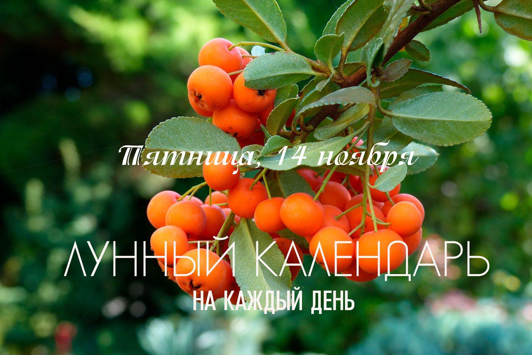 Сегодняшний день не подходит для запуска новых важных проектов. Совместное действие йоги «Вайдхрити» и караны «Вишти» (с 09:38) создает серьезные препятствия для начинаний. Результаты могут не оправдать ожиданий. День лучше всего использовать для отдыха и рутинных дел , но без принятия каких-либо обязательств . Вечер (с 18:50) под влиянием накшатры «Уттара-Пхалгуни» можно посвятить благотворительности или спокойному укреплению уже существующих отношений.