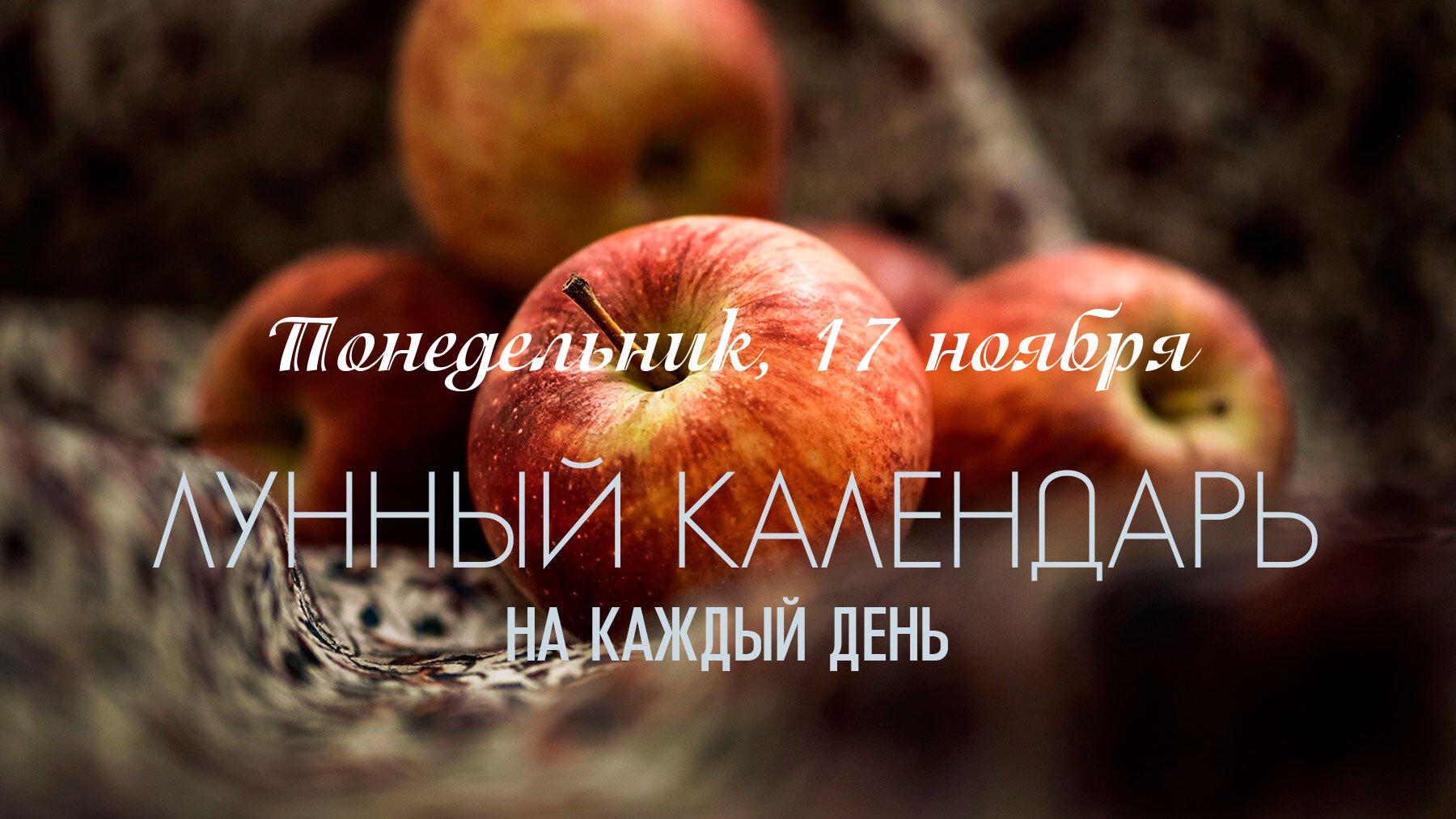 Лунный календарь на 17 ноября 2025 День хороший, но не подходит для начала новых проектов, Луна уже сильно убывающая. 17 ноября ощущается как созидательный и практичный день. Энергия побуждает к созданию чего-то красивого, будь то искусство, дизайн или просто наведение порядка в доме. Совпадение факторов делает это время подходящим для дел, требующих мастерства и рассчитанных на долгий срок, например, для лечения. Это хороший день для спокойной, конструктивной работы, общения с людьми и коммерческой деятельности, при условии, что вы избегаете новых начинаний.
