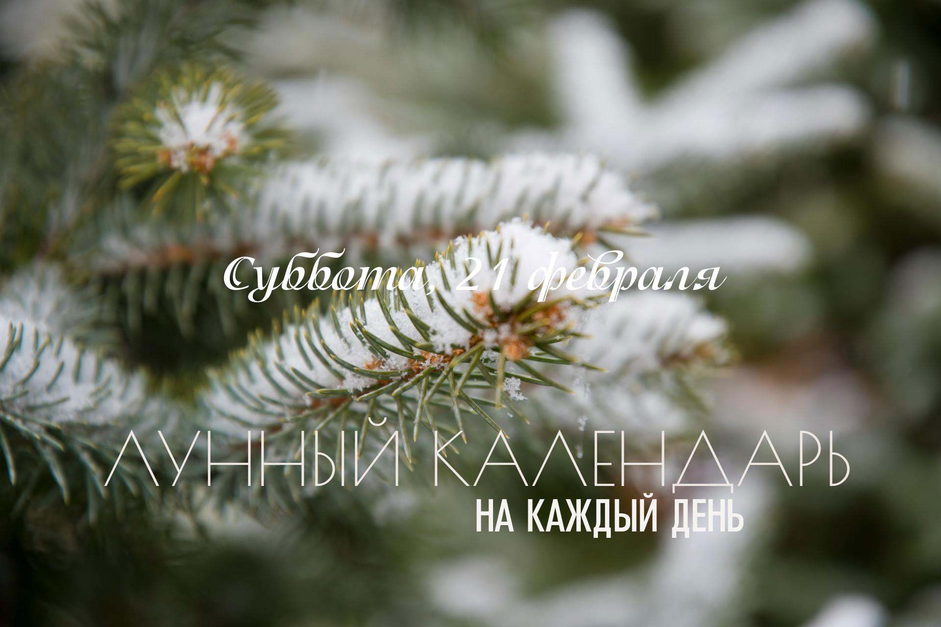 Лунный календарь на 21 февраля 2026 Энергия этого дня носит смешанный и трансформирующий характер. С одной стороны, присутствует стремление к росту и развитию, с другой — ощущается скрытая нестабильность и общее замедление процессов. Строго не рекомендуется начинать дальние путешествия, проводить стрижку волос, надевать новую одежду или начинать новые проекты. Утренние часы до 10:30 - самое неблагоприятное время в сутках, в этот промежуток лучше отказаться от любых созидательных начинаний. Этот промежуток предпочтительнее посвятить решению ситуаций, в которых нужно действовать резко и смысл которых - завершение.