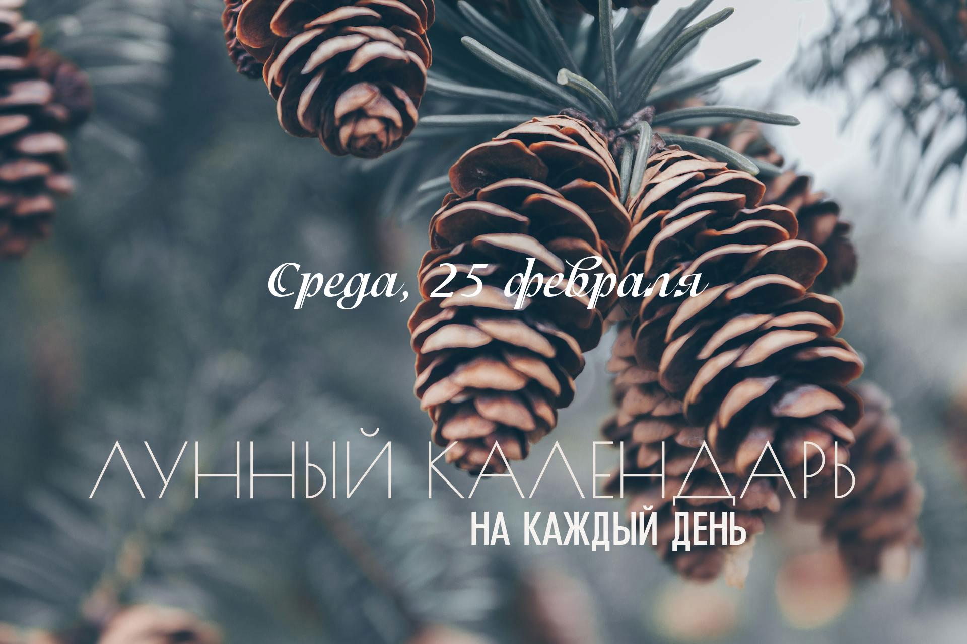 Лунный календарь на 25 февраля 2026 Энергия этого дня носит очень противоречивый характер. Сегодня доминирует влияние девятого лунного титхи, который относится категории «Пустые руки» - день который снижает результативность начинаний. Его природа направлена на преодоление препятствий, споры и расчистку пространства. Это плохо сочетается с мягкой природой других показателей дня, которые располагают к спокойствию, росту и созиданию. Из-за этого может возникать противоречие, желание что-то сделать и препятствие в получение результата.