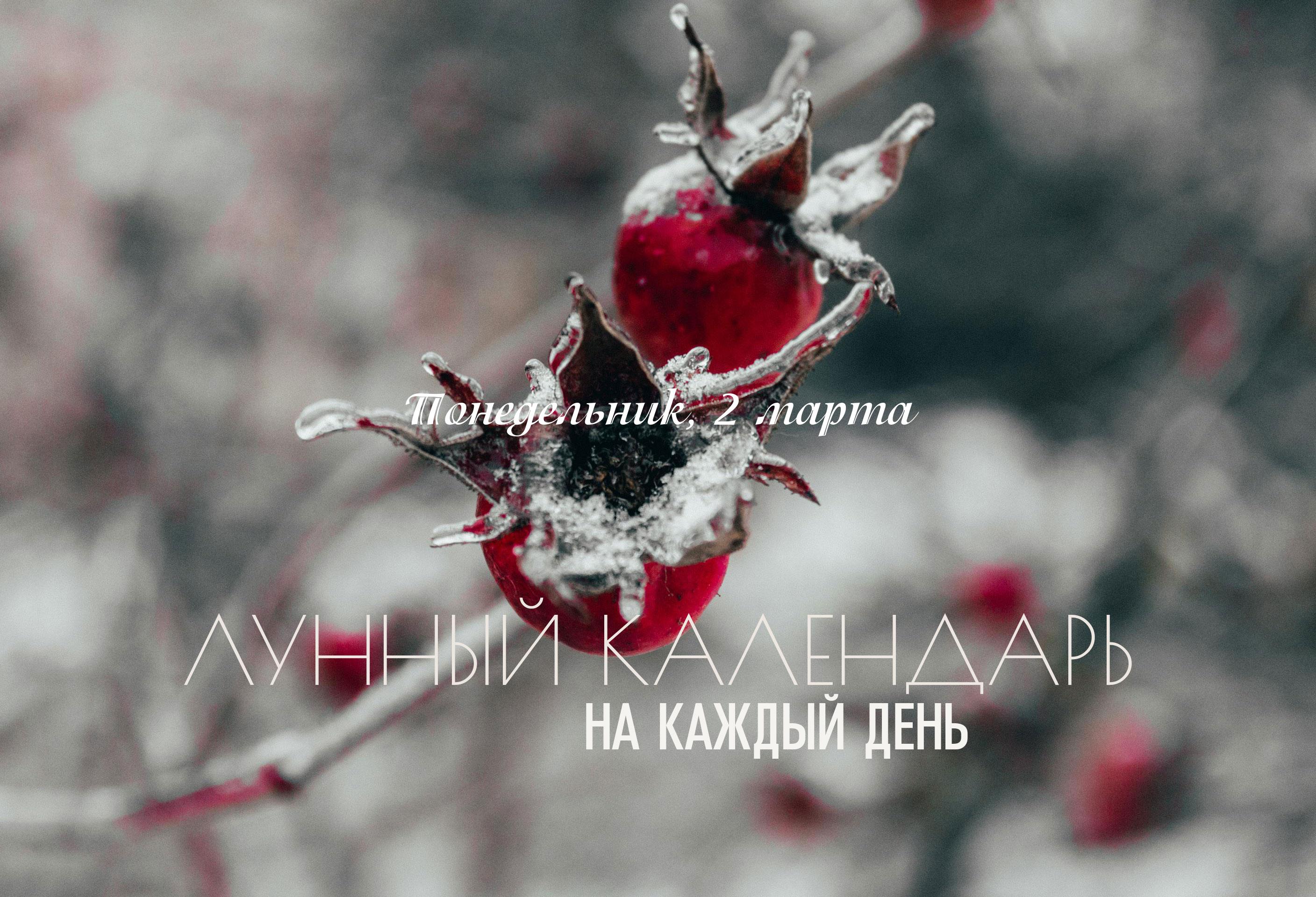 Лунный календарь на 2 марта 2026 ❗Сложный день перед затмением совпадает с неблагоприятным пустым титхи, Гандантой и караной Вишти. Поэтому в этот день рекомендуется исключить любые новые начинания, а особенно - зачатие. Для этого дня можно выбрать рутинную часть работы и сконцентрироваться на ней. Благоприятная йога все же несет свое позитивное влияние и способствует хорошему настроению и быстрому разрешению ситуаций.