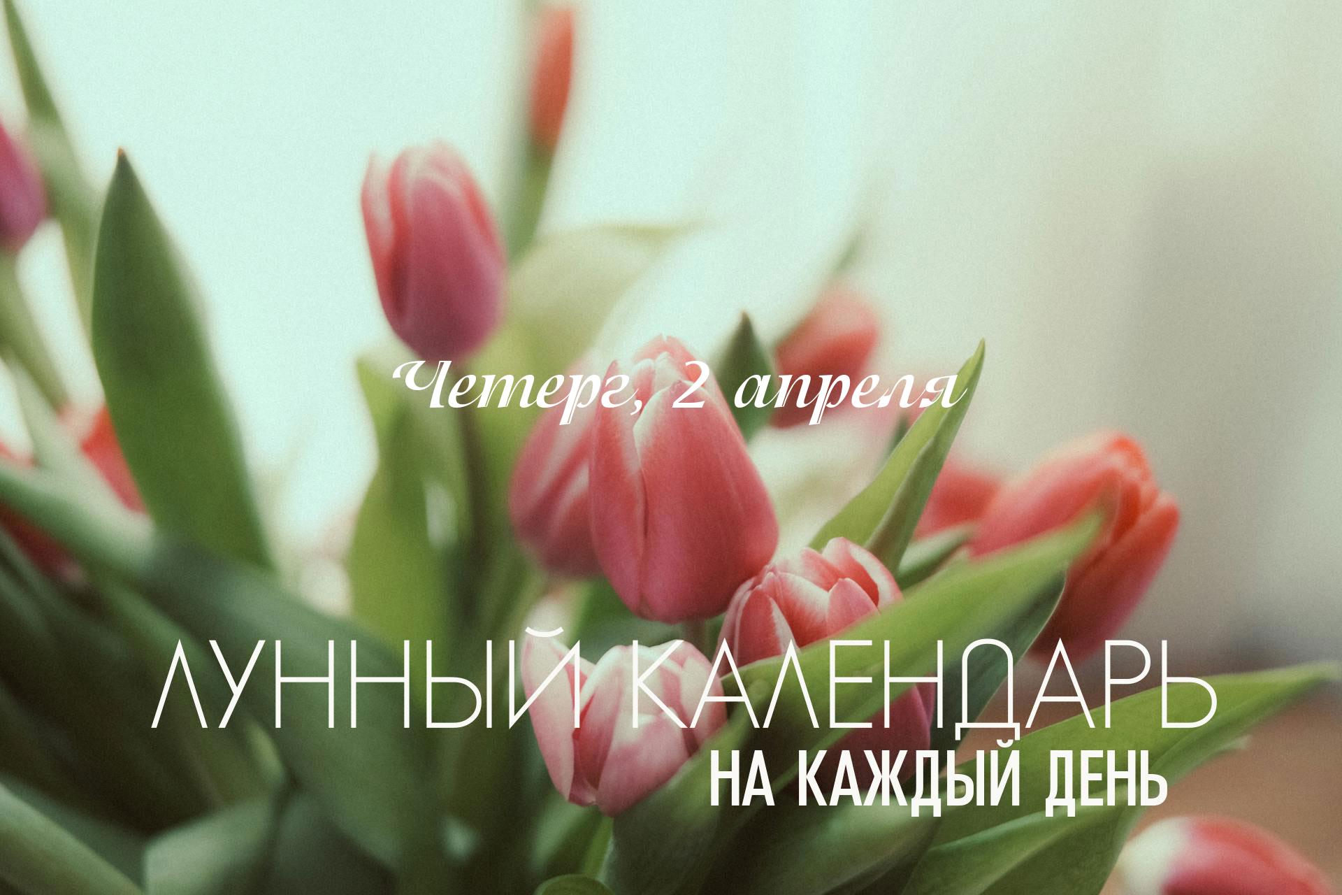 Астрологические факторы разноплановые, день разделен на два периода. До 11:49 день хороший, далее становится сложным из-за влияния неблагоприятной йоги. И только после 15:15 день становится нейтральным. 🌕Полнолуние, главный урок полнолуния в Деве — это терпимость в отношении окружающих и близких. Если вы видите ошибку, вовсе не обязательно на неё указывать. 