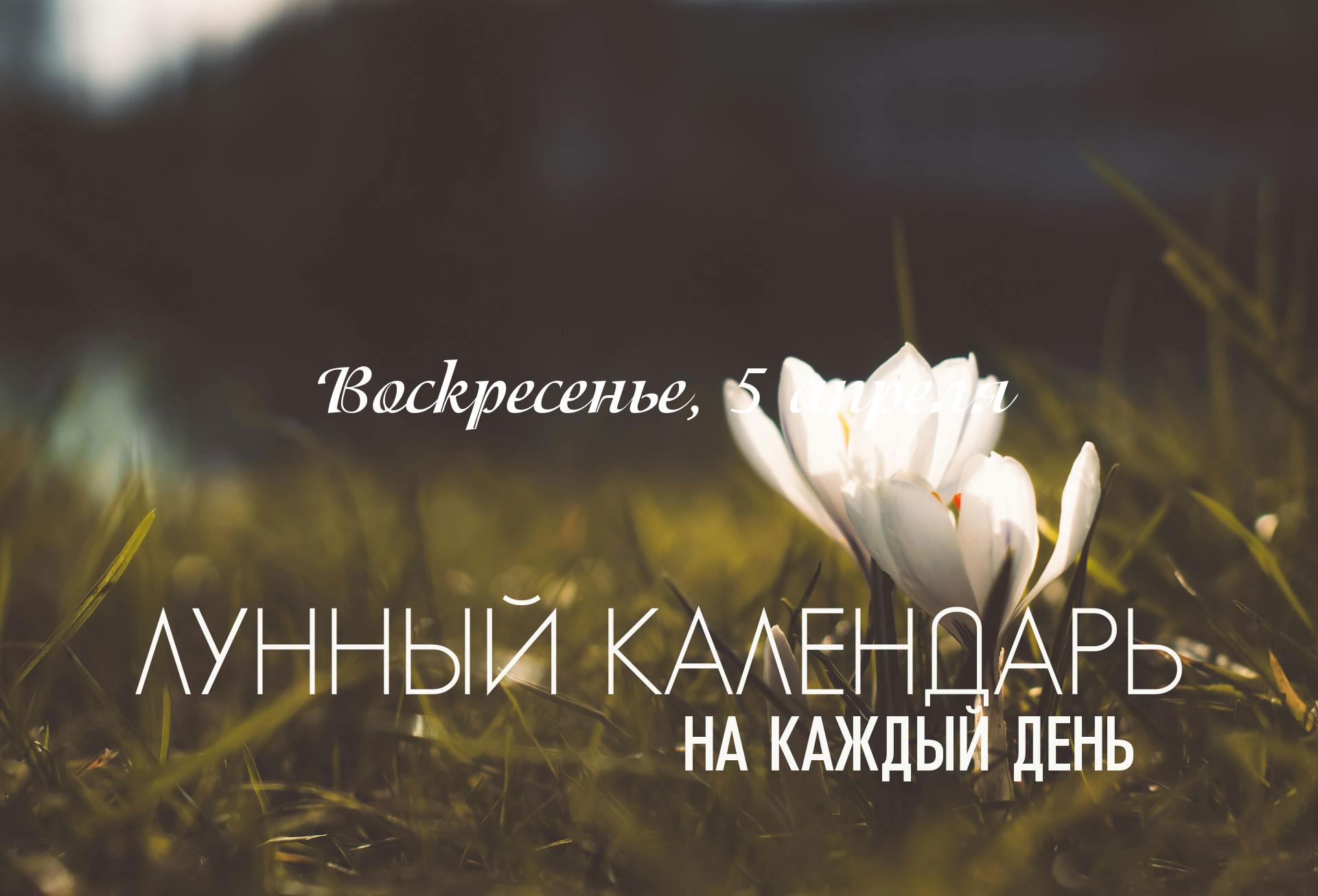 Лунный календарь на 5 апреля 2026 День непростой, особенно первая его часть, несколько неконструктивных астрологических факторов блокируют возможности для начинаний и важных дел. В целом день не подходит для новых начинаний. Зато большая часть дня подходит для действий, цель которых избавиться от лишнего, для генеральной уборки, чистки.