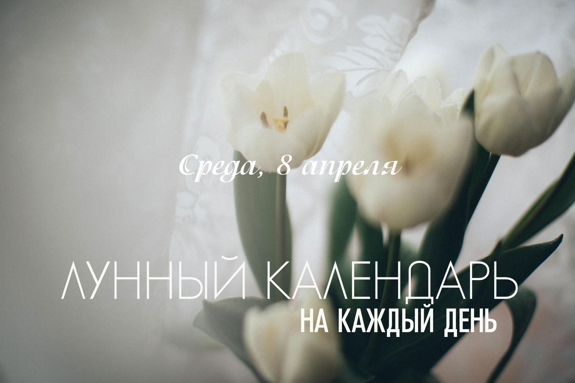 Лунный календарь на 8 апреля 2026 День имеет сложные астрологические показатели. Для новых начинаний не подходит. Рекомендуется перевести фокус внимания на исследовательскую работу, анализ прошлых ошибок, поиск первопричин проблем и избавление от лишнего. Проводить переговоры, делать покупки и начинать новые проекты в этот день не рекомендуется. В течение дня активная накшатра Мула, она помогает направить ситуацию в правильное русло, заставляя вернуться к сути (корню) проблемы.