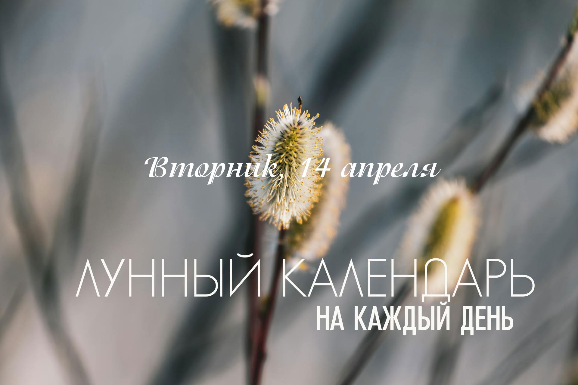 Самый хороший промежуток дня с 09:00 до 12:30 (время московское) - рекомендуется: проводить встречи, решать рабочие вопросы и совершать плановые покупки именно в эти часы. В остальное время предпочтительнее перевести фокус внимания на текущие задачи и избегать спешки.