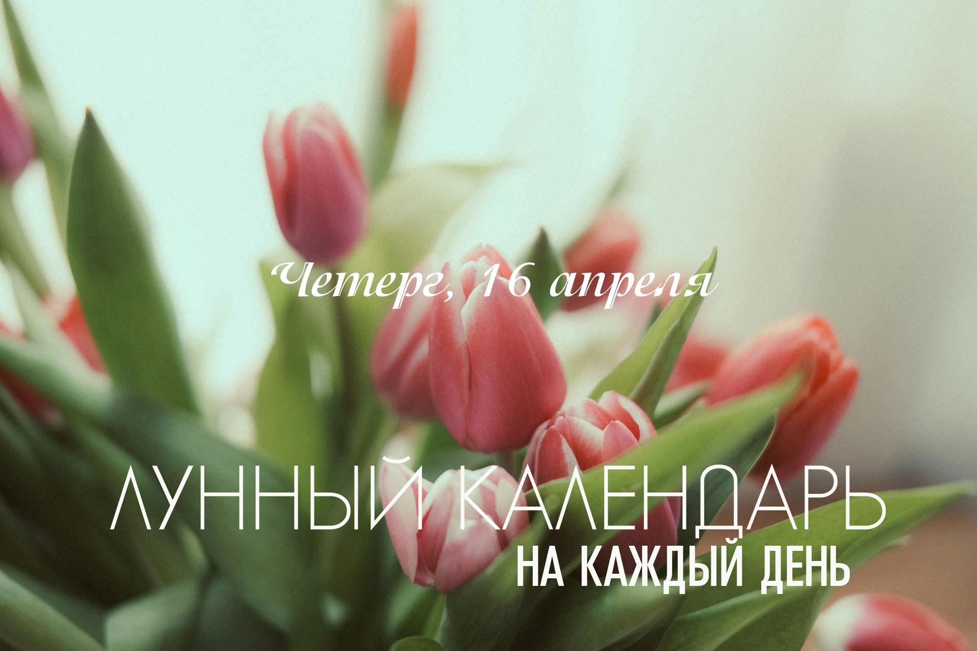 Сегодняшний день - это постепенное завершение лунного цикла. Поэтому только рутинные дела и отдых, не перенапрягайте организм, рекомендуется снизить физическую и ментальную нагрузку.