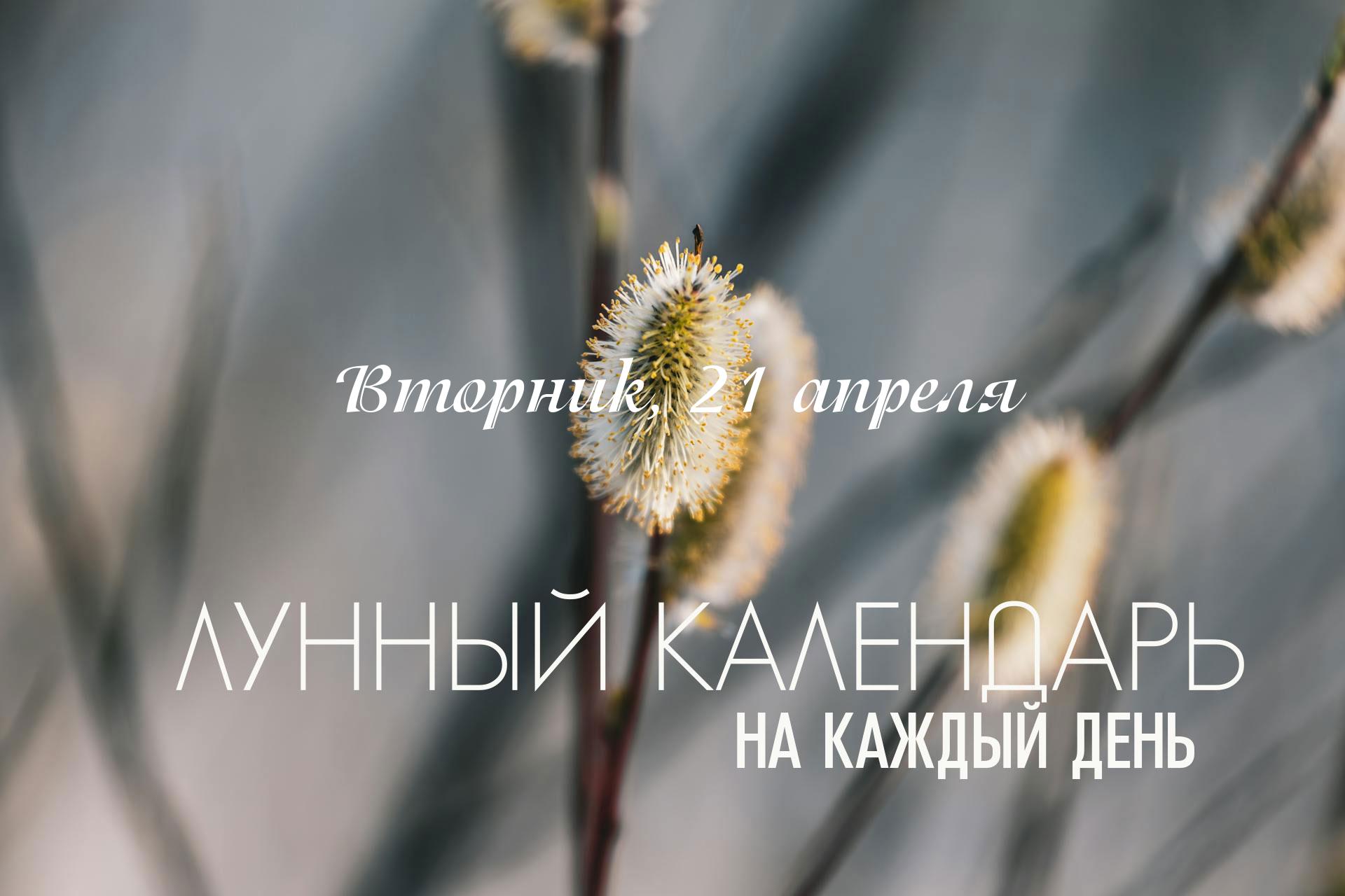 День смешанный. Раннее утро (до 10:00) хорошее время, так как большая часть факторов панчанги благоприятна. Это подходящее время для важных инициатив и планирования. С 10:00 до 12:24 сложный промежуток, все процессы  могут тормозить. В 21:28 в силу вступает острая накшатра Ардра, вечером лучше заниматься рутинными делами, предполагающими умеренную активность. То есть вечером довольно активная энергия, поэтому не стоит рассчитывать на спокойную расслабляющую атмосферу.  Большую часть дня действует накшатра которая помогает нам найти то что нужно.