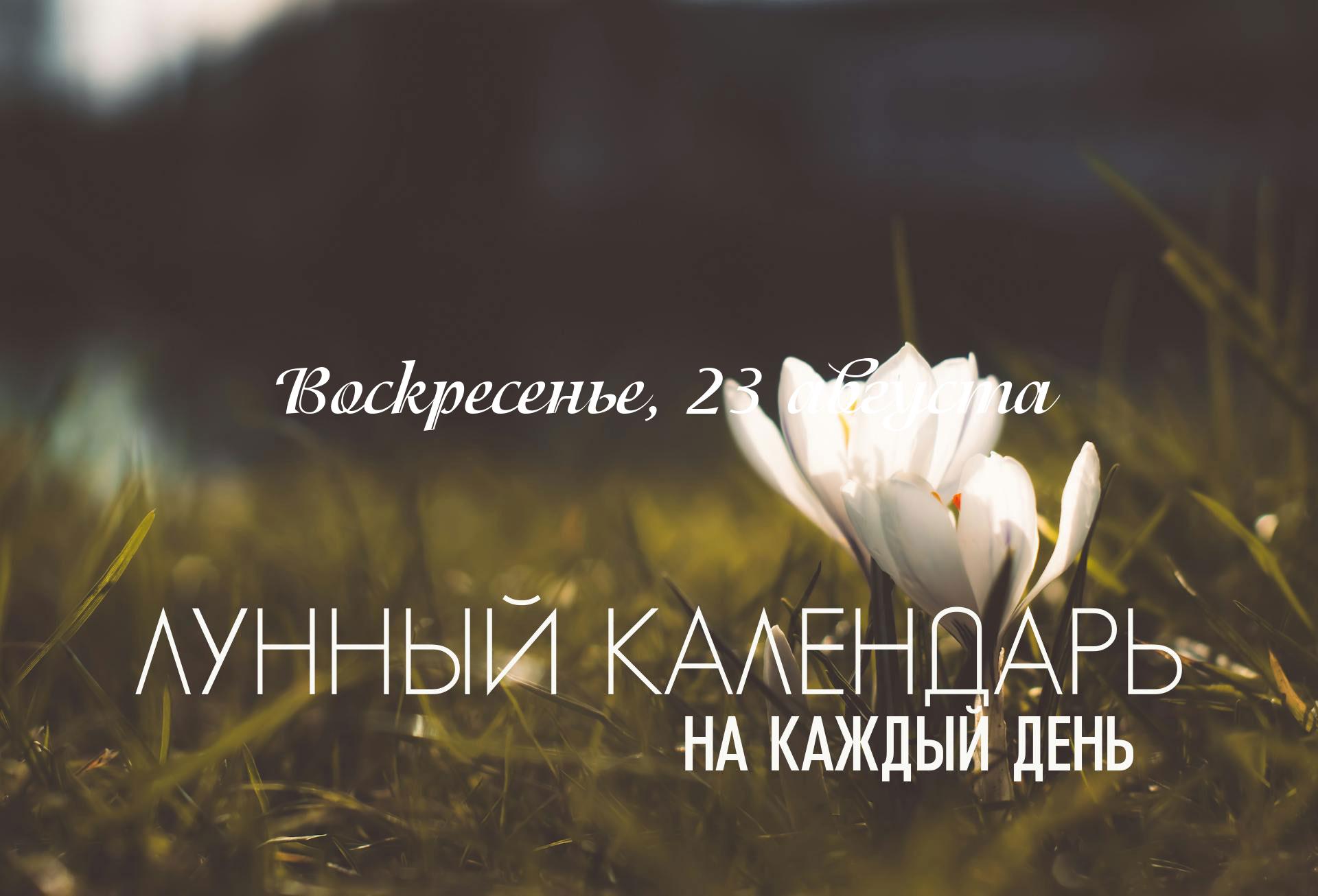 Лунный календарь на 23 августа 2026 Сегодняшний день полон противоречий. Вроде бы открыты возможности и есть энергия. Но по факту... как только пытаемся начать что-то новое, возникают несостыковки и противоречия. особенно это будет ощущаться во второй половине дня. Сегодня рекомендуется сделать за проявлениями эго, с большой вероятностью будут ситуации которые вызывают ощущение что вас никто не понимает или когда ситуация бьет по "эго". Вторую половину дня лучше провести более активно. Нередко в дни с такой комбинацией мы сталкиваемся с моральными дилеммами и остро реагируем если кто-то задел наши принципы.