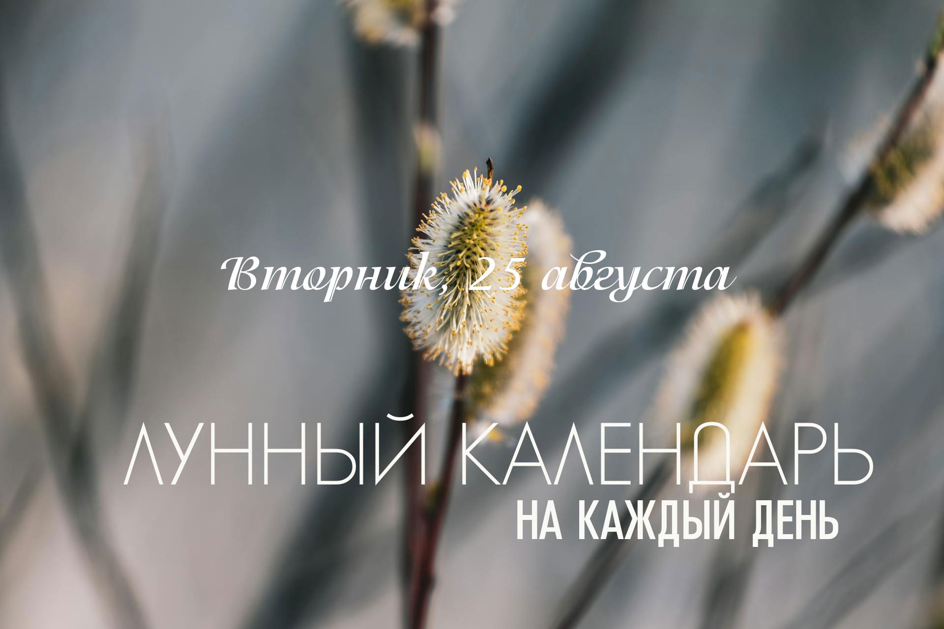 Лунный календарь на 25 августа 2026 Сегодня вторник - один из самых активных дней недели.. Для вторника подходят занятия связанные с физической активностью, отстаиванием границ, конкуренцией и решениям споров. Этот день считается неблагоприятным для созидательных начинаний - так как общая энергия слишком активная, непредсказуемая и острая. Поэтому начинать можно только дела связанные с Марсом, к примеру благоприятно начать тренировки, а накшатра дня будет способствовать тому чтобы результат и само ваше намерение укрепилось надолго. В этот день можно решать спорные вопросы, заниматься судебным процессом строго до 20:21 (время московское), бороться; допустима работа, связанная с металлами, огнем, электричеством, медициной; лечение.